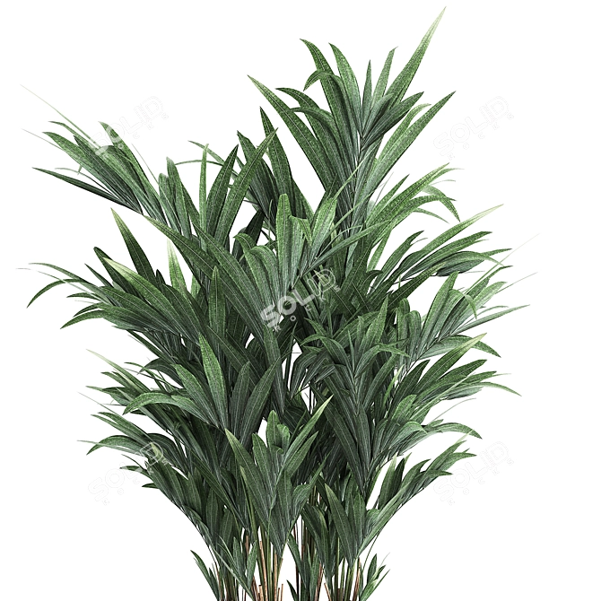 Tropical Plant Paradise 3D model image 4