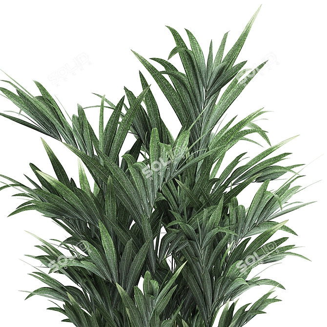 Tropical Plant Paradise 3D model image 6
