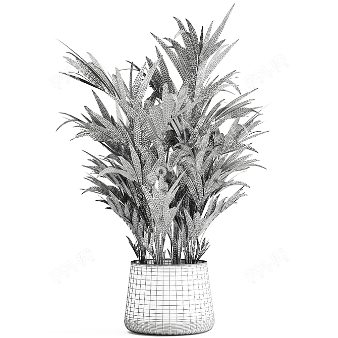 Tropical Plant Paradise 3D model image 7