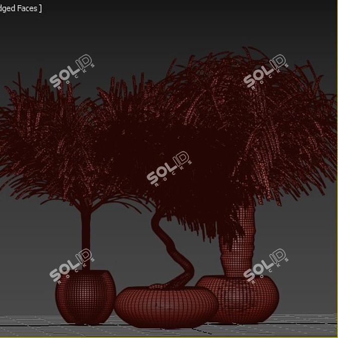 Tropical Palm Trio: Exquisite Indoor Plants 3D model image 5