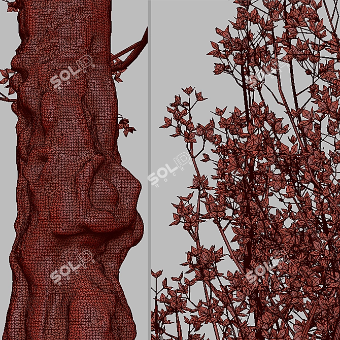 Pair of Cornus mas Trees 3D model image 6