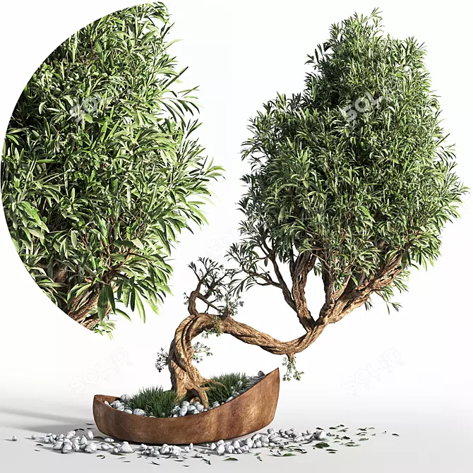 Artistic Bonsai Plant Sculpture 3D model image 1