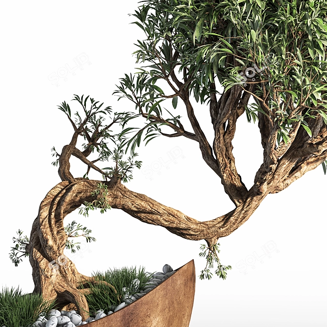 Artistic Bonsai Plant Sculpture 3D model image 5