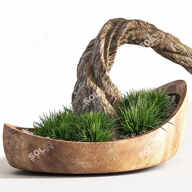 Bonsai Plant: Exquisite 2015 Version 3D model image 2