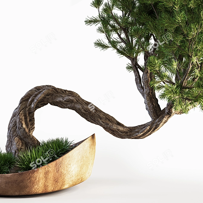 Bonsai Plant: Exquisite 2015 Version 3D model image 3