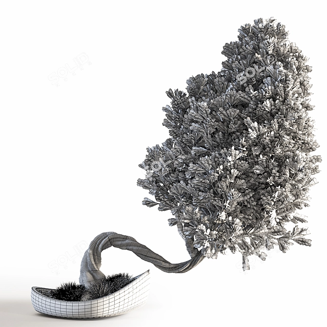 Bonsai Plant: Exquisite 2015 Version 3D model image 6