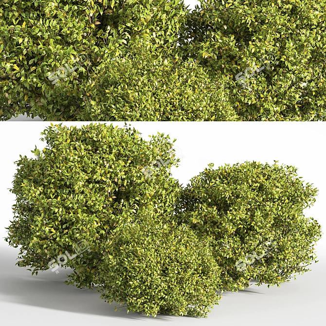 Modern Bush Furniture: 2015 Version 3D model image 1