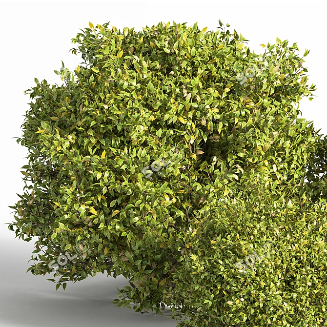 Modern Bush Furniture: 2015 Version 3D model image 2
