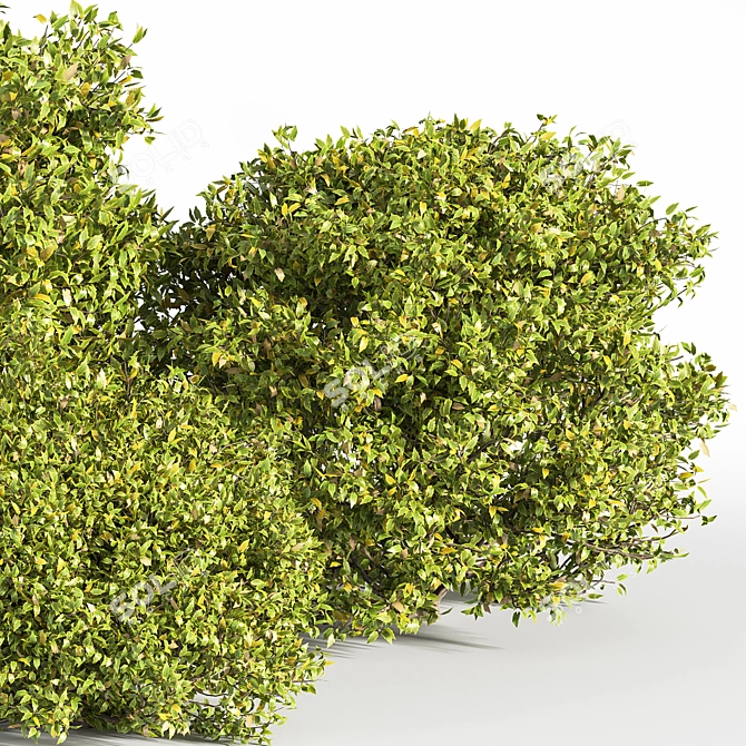 Modern Bush Furniture: 2015 Version 3D model image 3