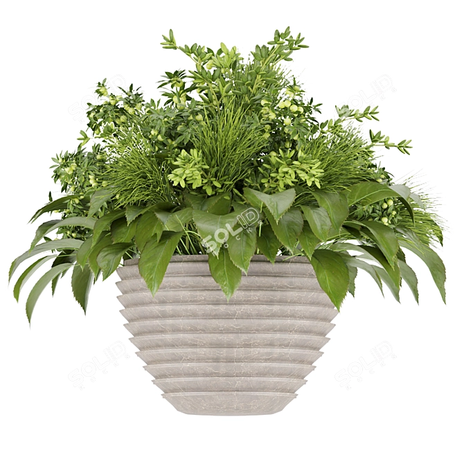 Premium Plant Collection: Volume 154 3D model image 3