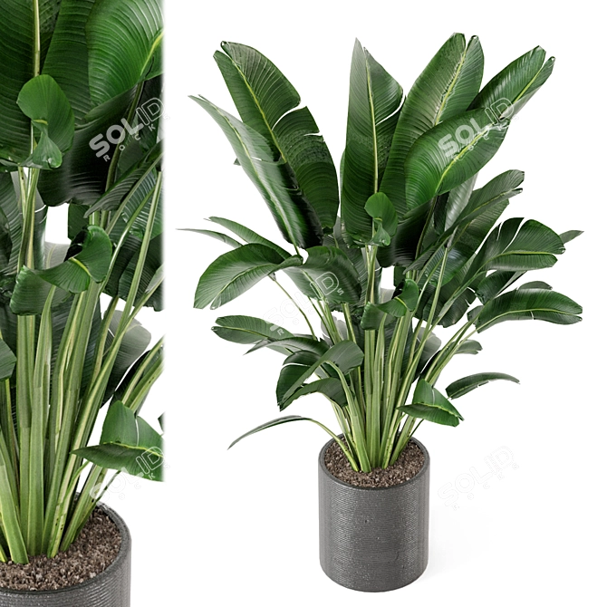 Green Oasis Indoor Plant Set 3D model image 1