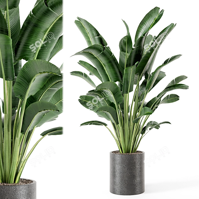 Green Oasis Indoor Plant Set 3D model image 2