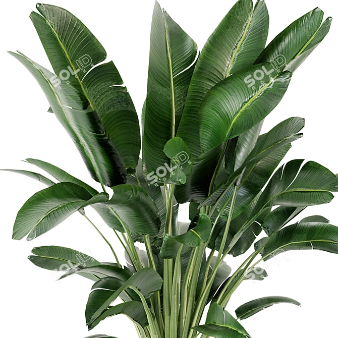 Green Oasis Indoor Plant Set 3D model image 4