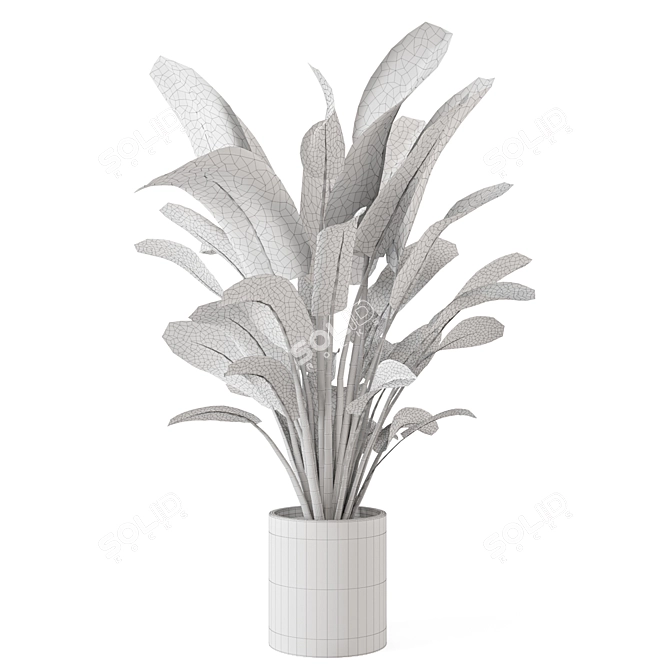 Green Oasis Indoor Plant Set 3D model image 7