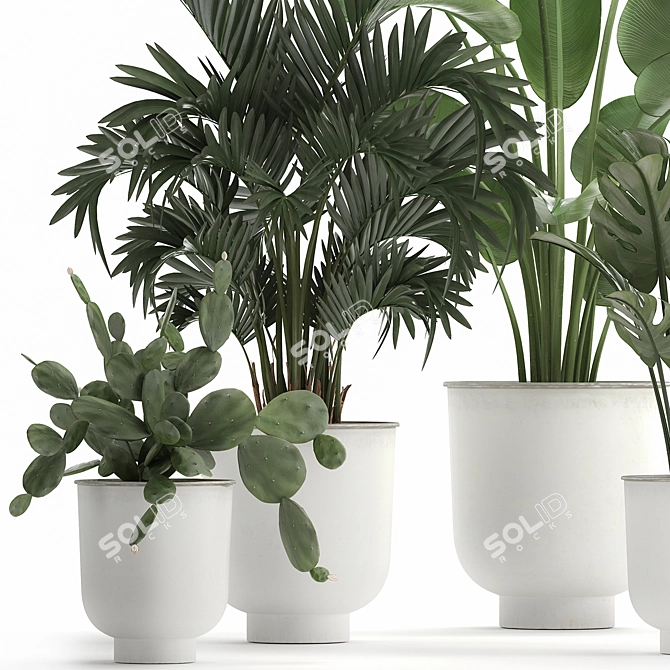 Tropical Plant Collection in White Pots 3D model image 4