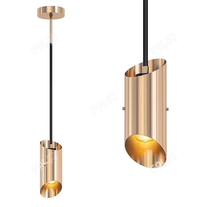 Modern Hanging Light Fixture SP008 3D model image 1