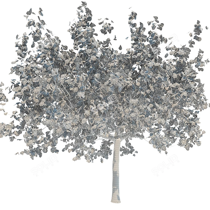 Premium Maple Tree: High-quality 3D Model 3D model image 4