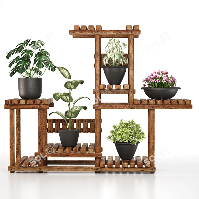 5 Indoor Plant Set 3D model image 1