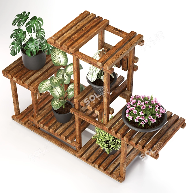 5 Indoor Plant Set 3D model image 2