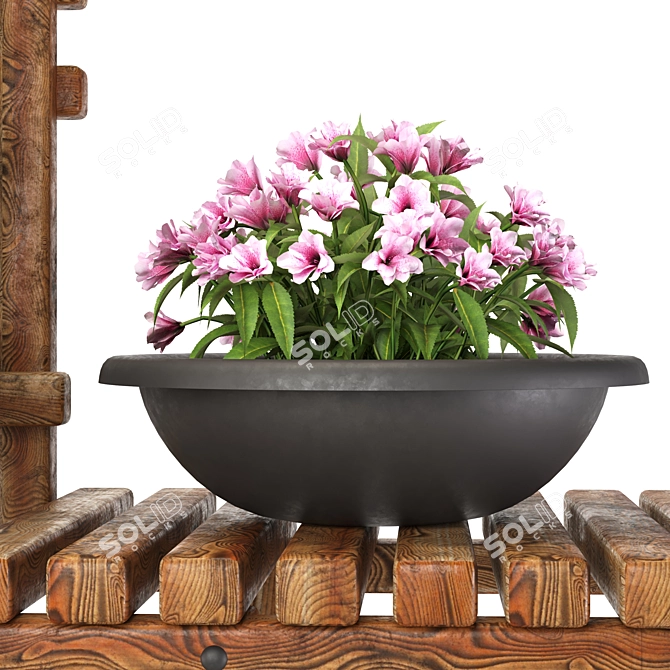 5 Indoor Plant Set 3D model image 3