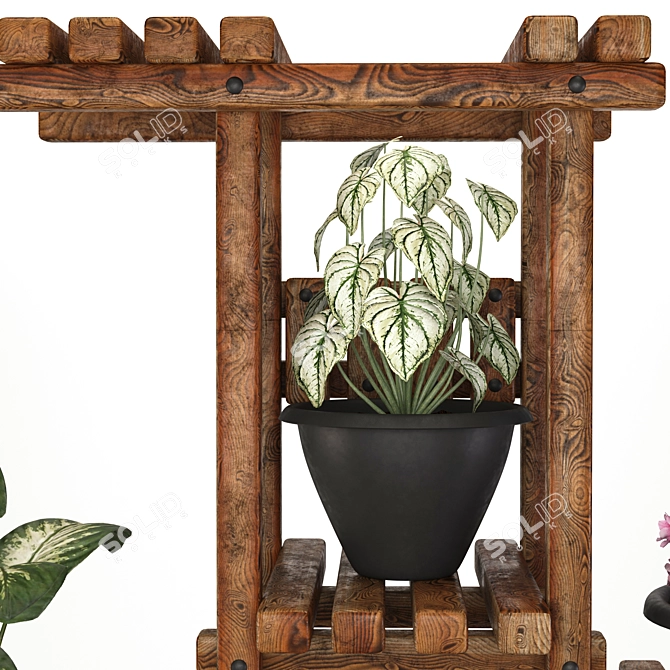 5 Indoor Plant Set 3D model image 4