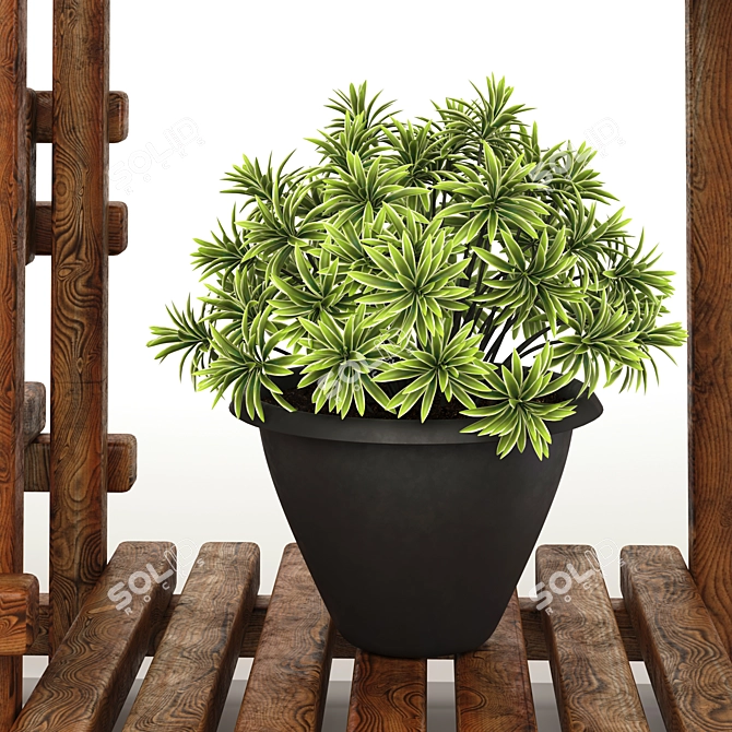 5 Indoor Plant Set 3D model image 5