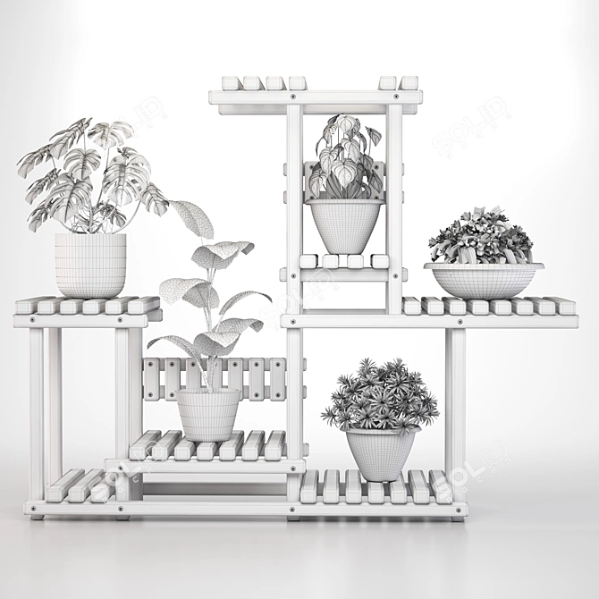 5 Indoor Plant Set 3D model image 7