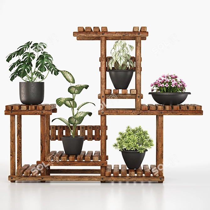 5 Indoor Plant Set 3D model image 8