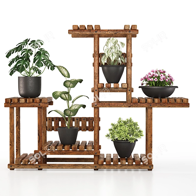 5 Indoor Plant Set 3D model image 9