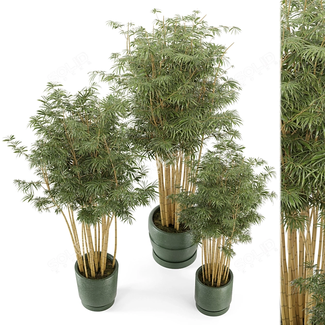 Rustic Bamboo Indoor Plants - Set 108 3D model image 1