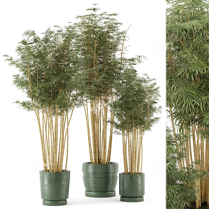 Rustic Bamboo Indoor Plants - Set 108 3D model image 2