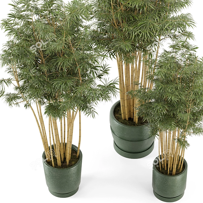 Rustic Bamboo Indoor Plants - Set 108 3D model image 3