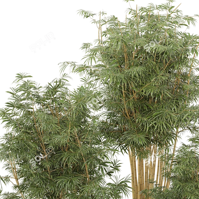 Rustic Bamboo Indoor Plants - Set 108 3D model image 4