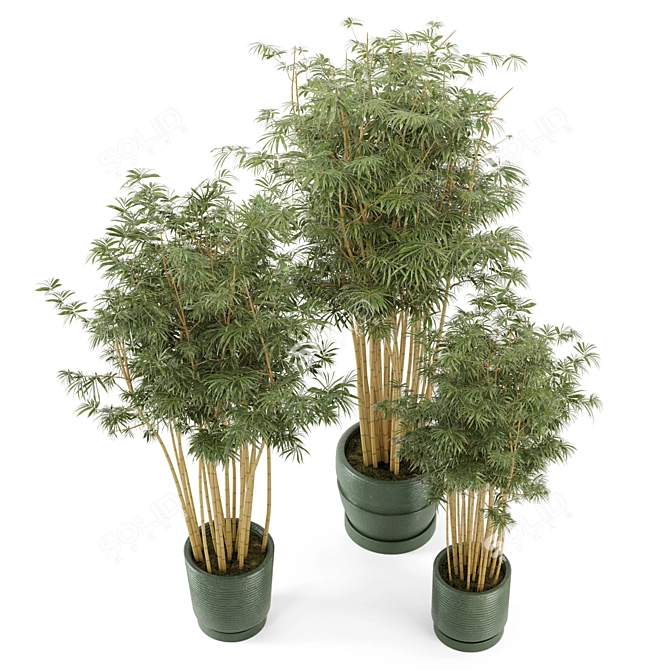 Rustic Bamboo Indoor Plants - Set 108 3D model image 6