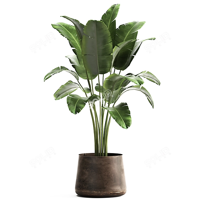 Tropical Plant Collection in Artisan Iron Pot 3D model image 1