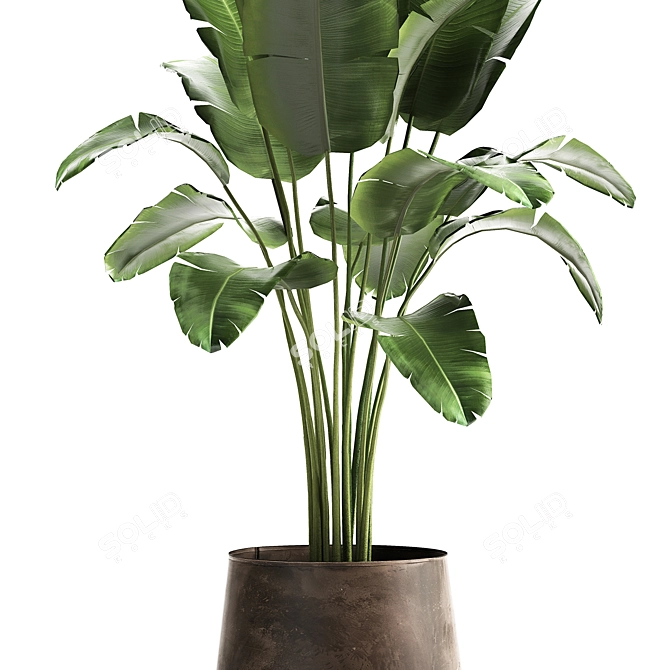 Tropical Plant Collection in Artisan Iron Pot 3D model image 4