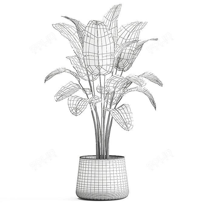 Tropical Plant Collection in Artisan Iron Pot 3D model image 6