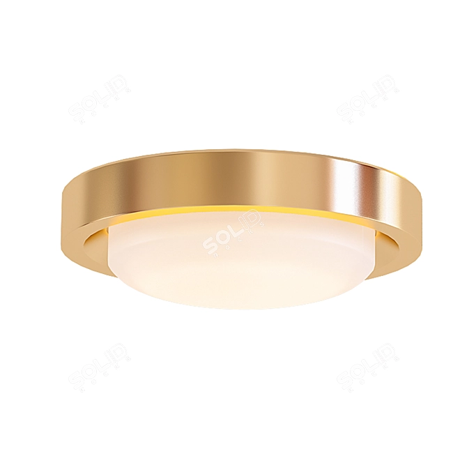 Elegant Gold Button Ceiling Light 3D model image 1