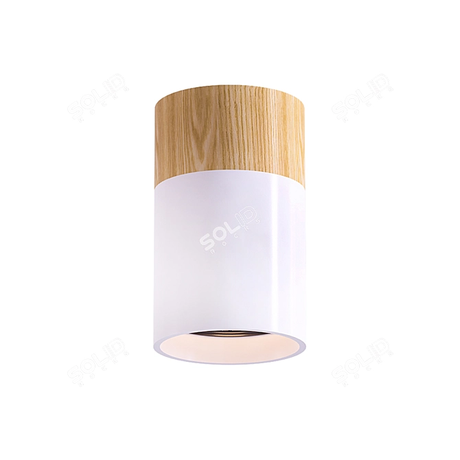 Wood Ceiling Lamp 2014 3D model image 1