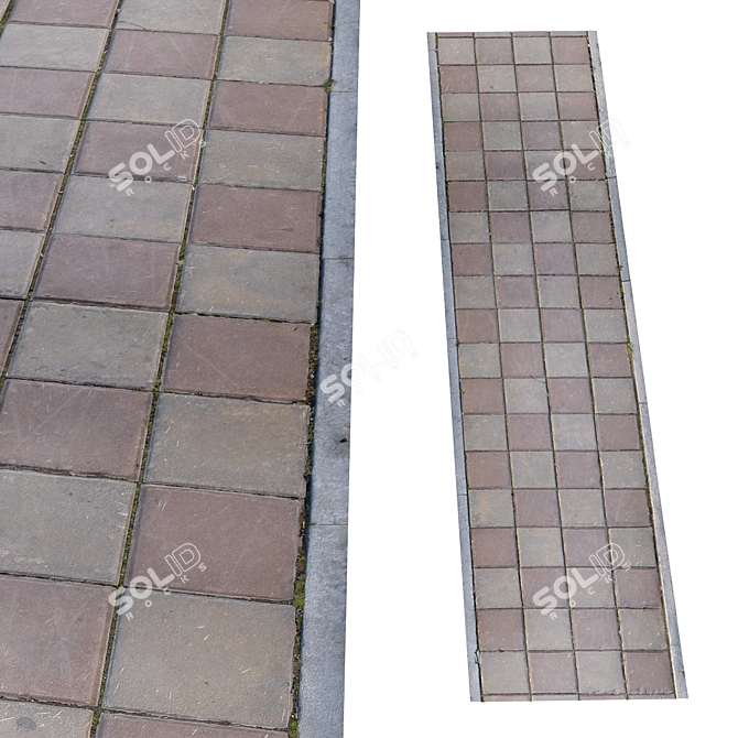 Title: High-Resolution Photogrammetric Sidewalk 3D model image 1