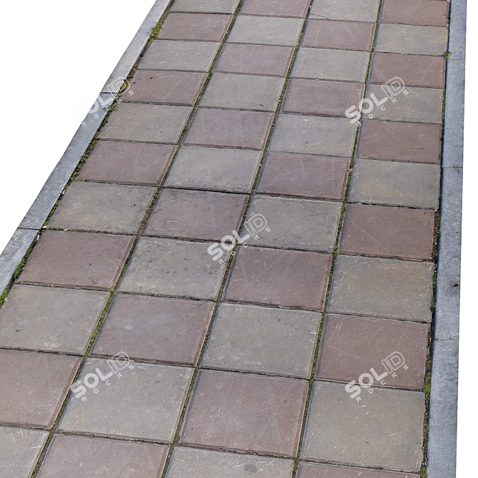 Title: High-Resolution Photogrammetric Sidewalk 3D model image 2