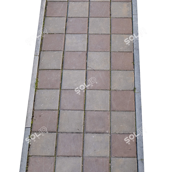 Title: High-Resolution Photogrammetric Sidewalk 3D model image 3