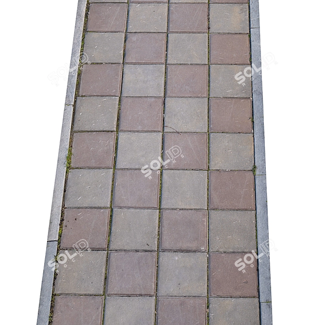 Title: High-Resolution Photogrammetric Sidewalk 3D model image 4