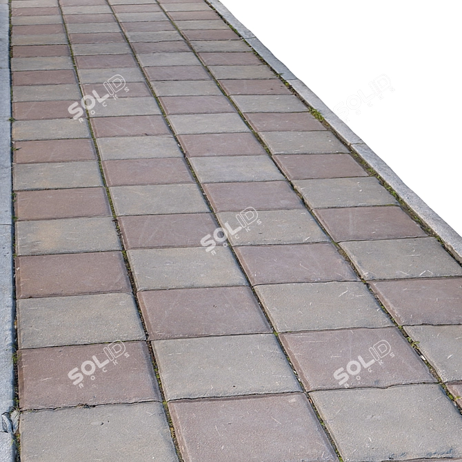 Title: High-Resolution Photogrammetric Sidewalk 3D model image 6