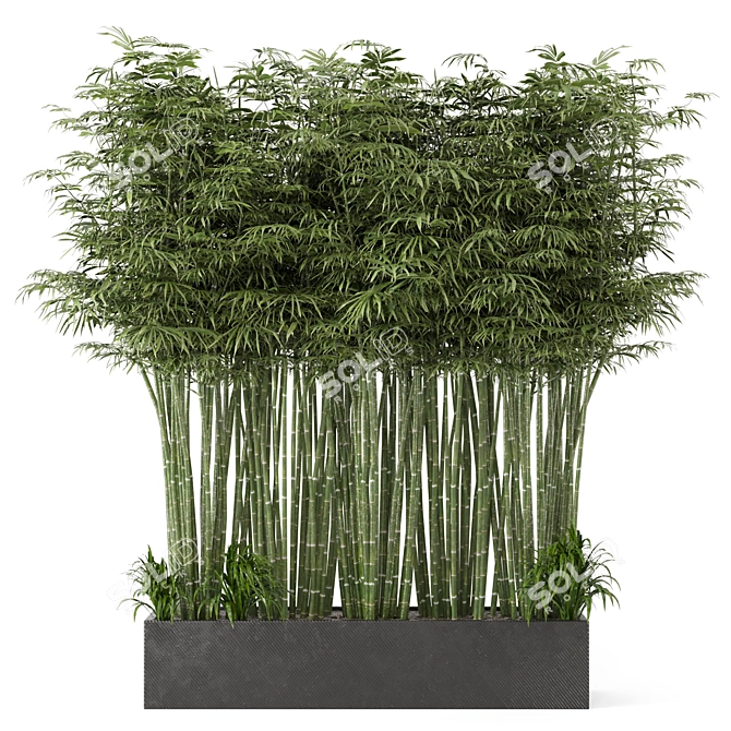 Rusty Concrete Pot Set with Outdoor Bamboo Plants 3D model image 2