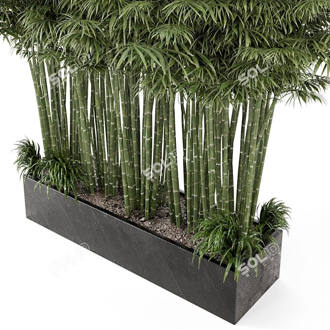 Rusty Concrete Pot Set with Outdoor Bamboo Plants 3D model image 4