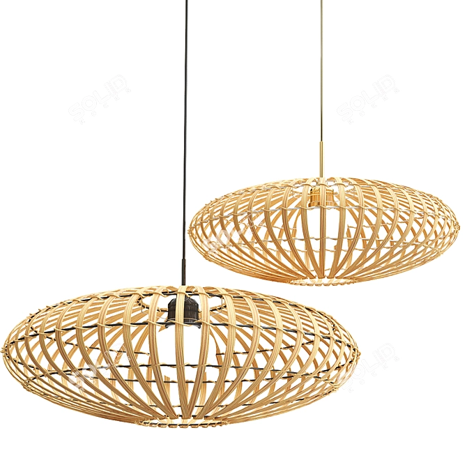 Elegant Anya Pendant Lamp 3D model image 1