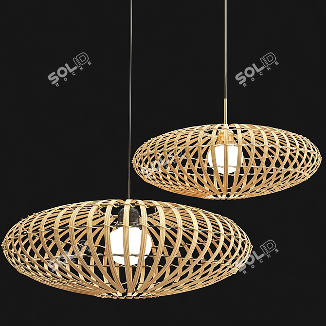 Elegant Anya Pendant Lamp 3D model image 2