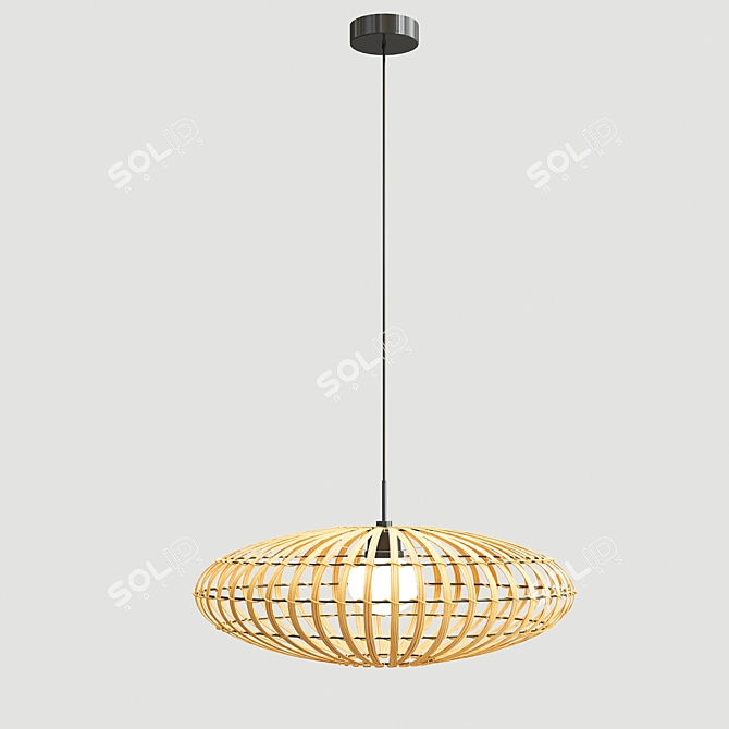 Elegant Anya Pendant Lamp 3D model image 3