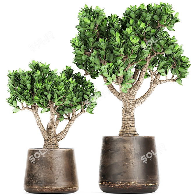 Exotic Plant Collection in Metal Vases 3D model image 1